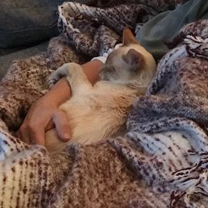 Meet your Posher, Abby